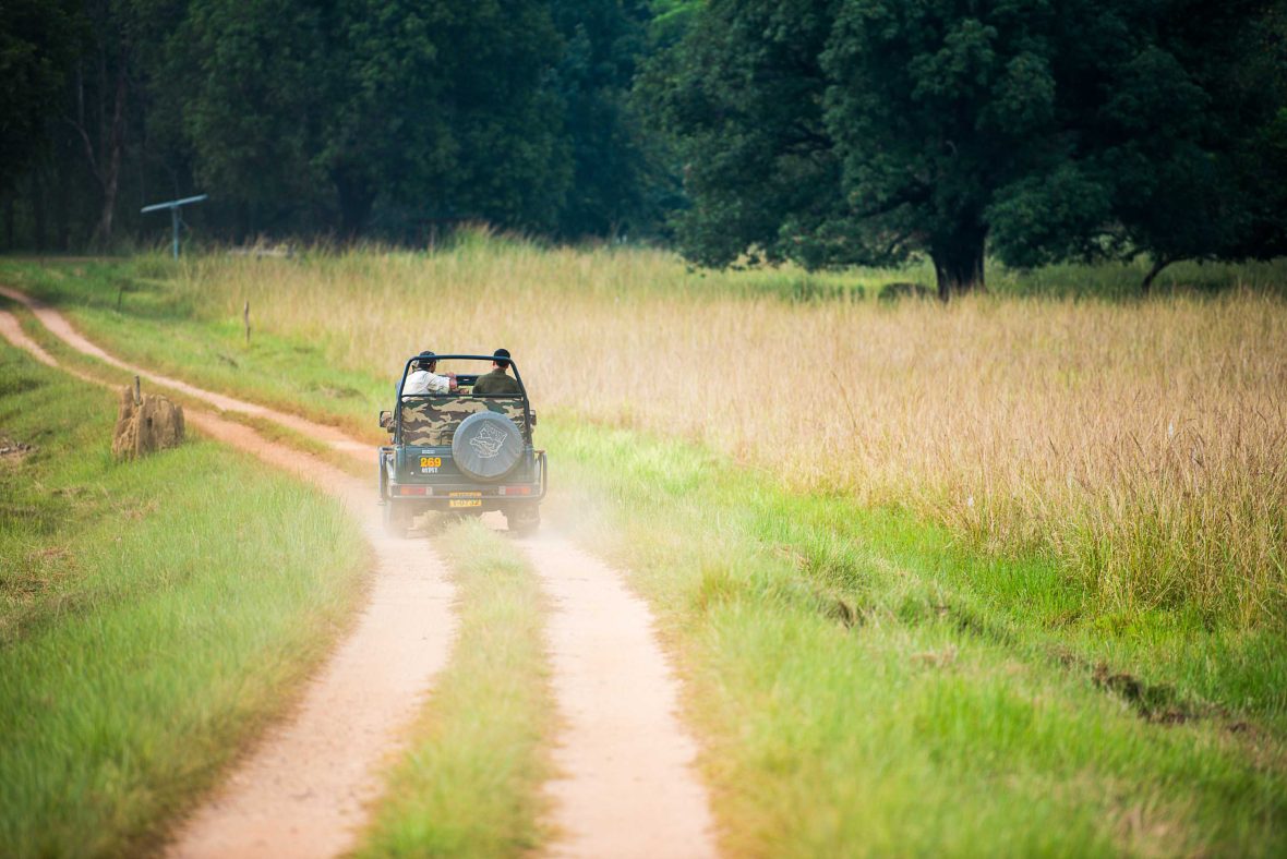 A jeep drives along a dirt road in Kanha National Park.