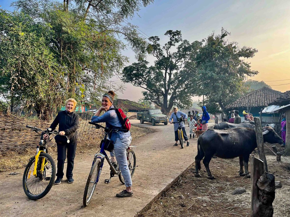 Travellers pause on their bikes in a village. Cows flank the road.