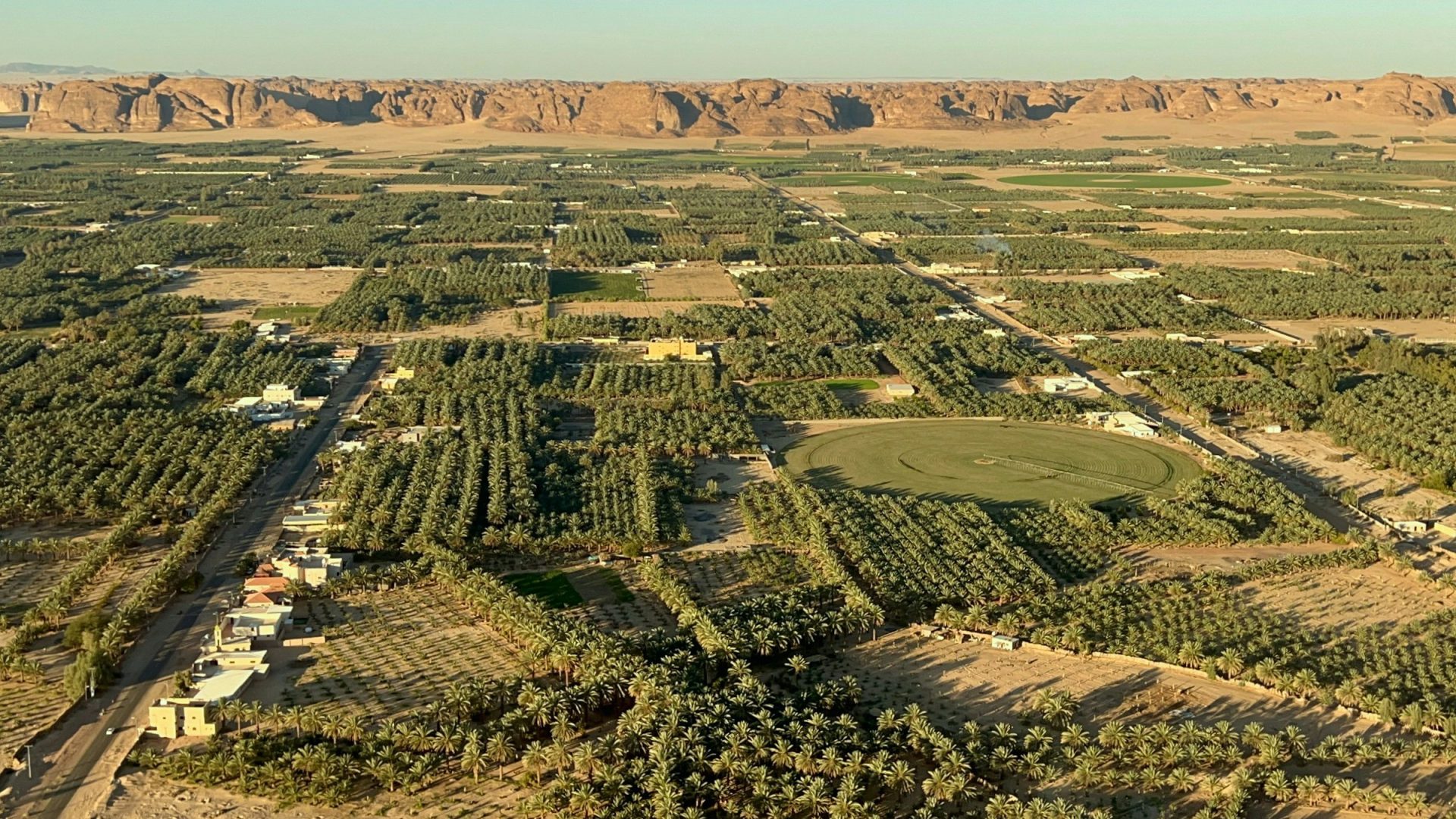 An aerial view over palm tree fields against a desert backdrop