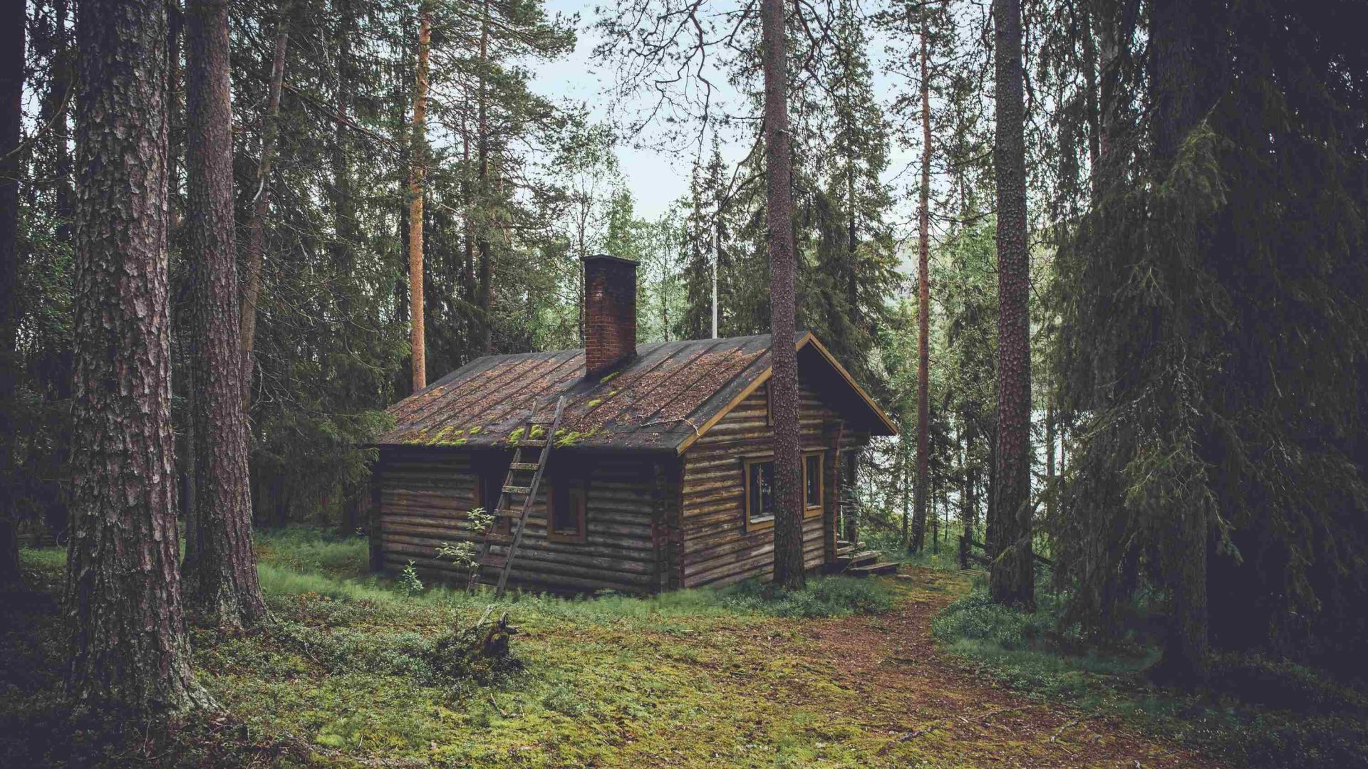Would your workday be more productive in the woods? This cabin company thinks so