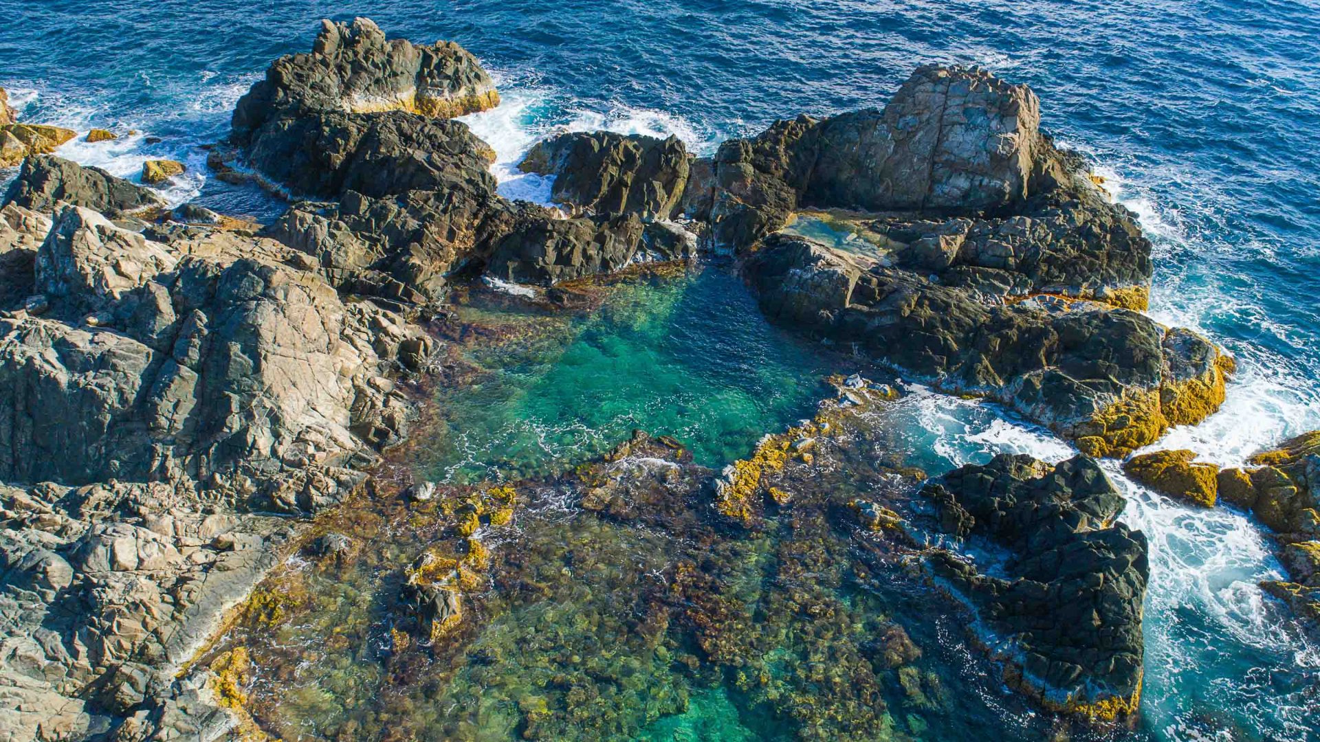 Rocks surround a green pool of sea water.