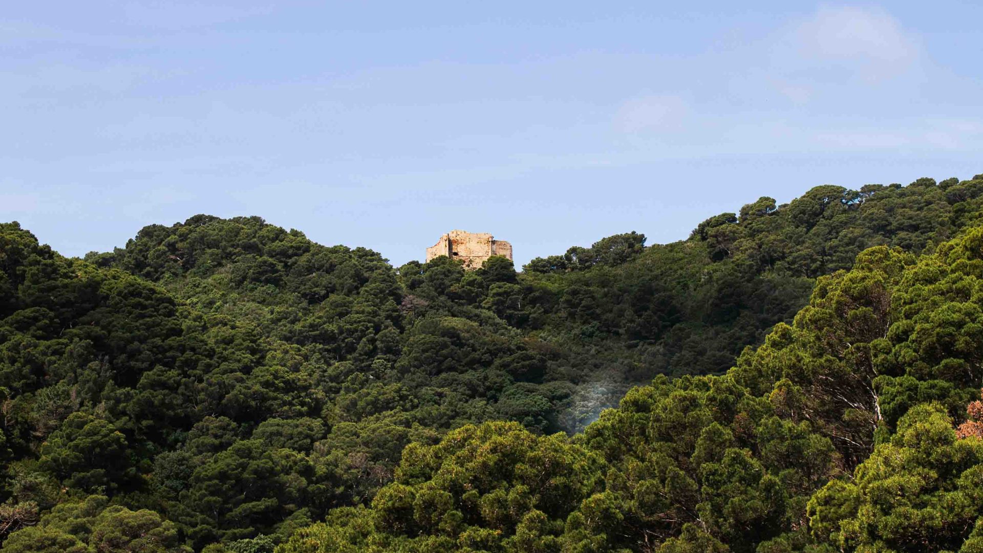 Ruins of a building can be seen through the trees.