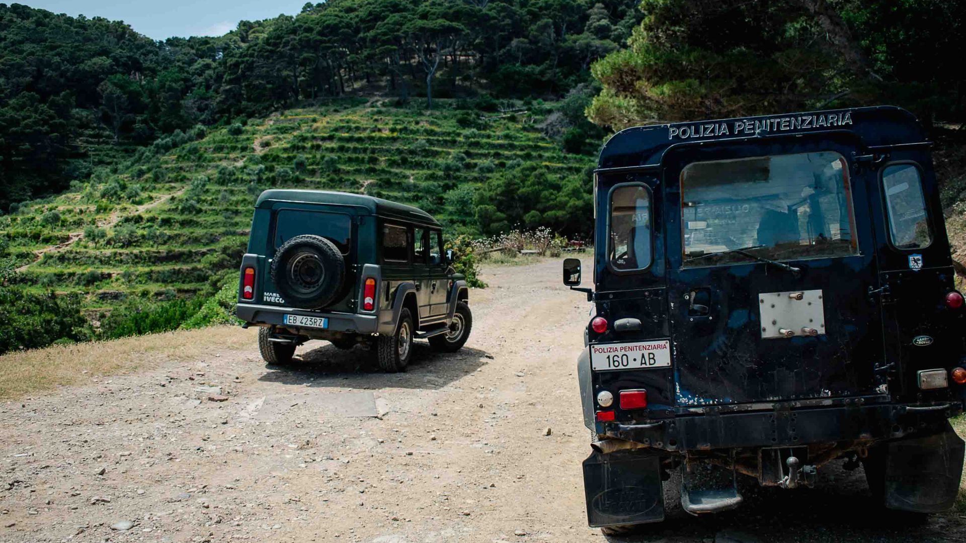 Police vehicles parked beside the vineyards.