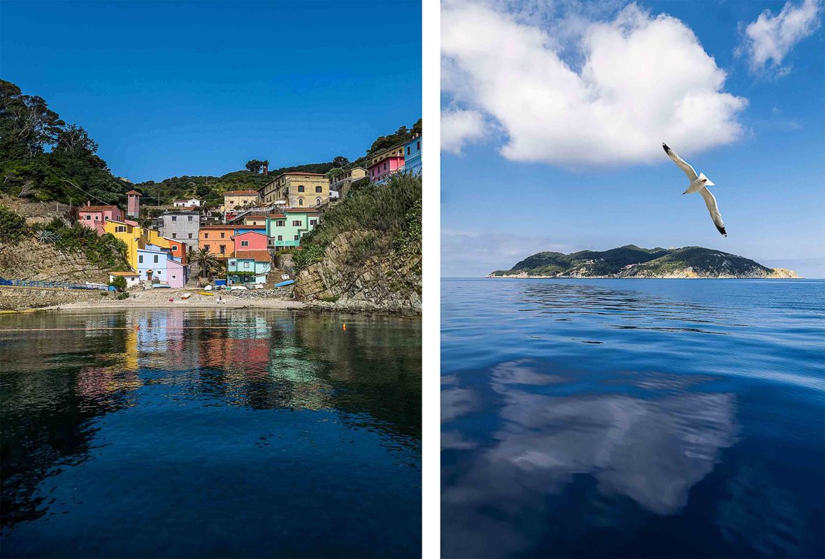 Left: Colorful buildings on the island. Right: A gull flies in the foreground with an island visible in the background.