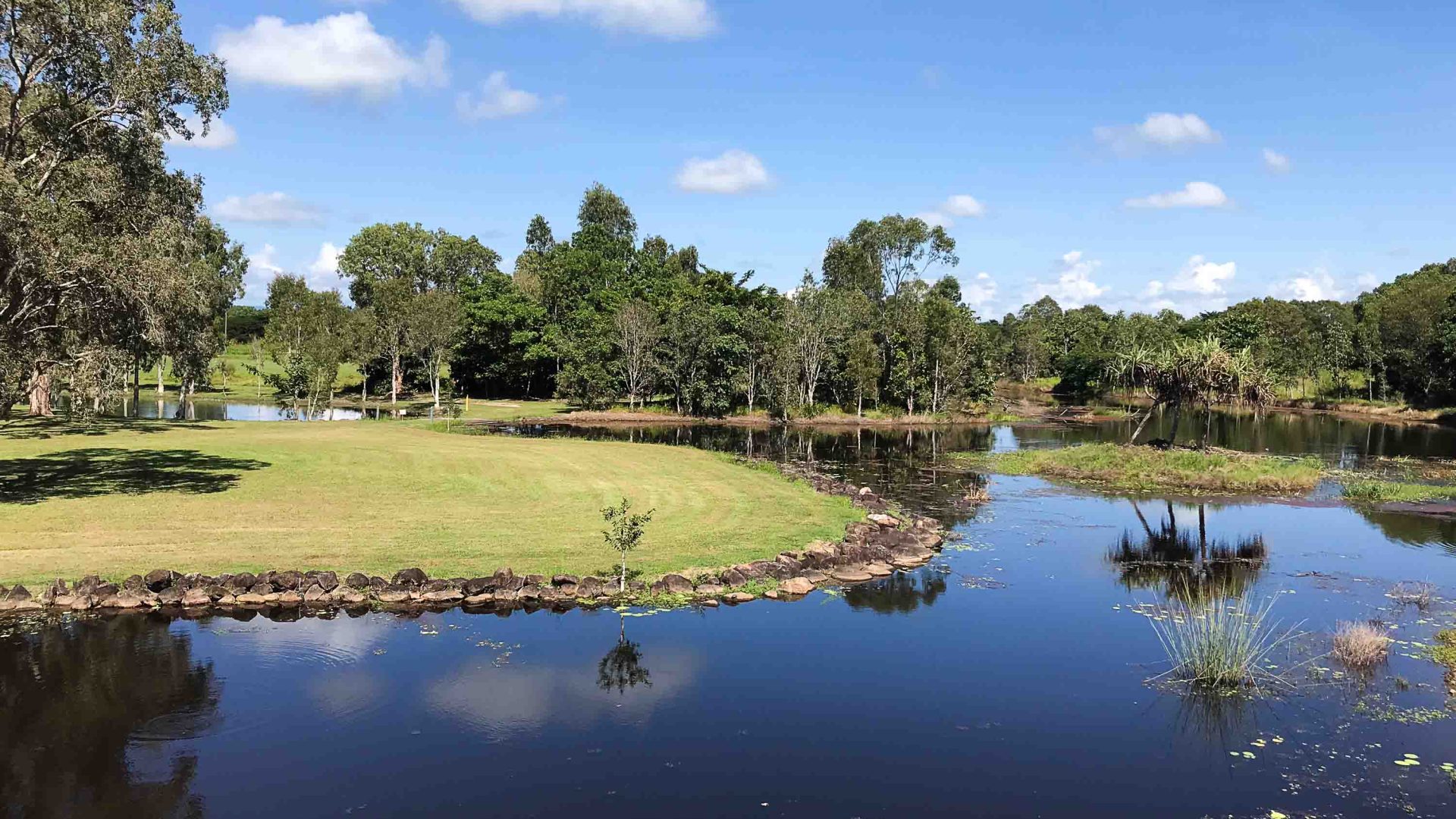 Trees, grass and wetlands.