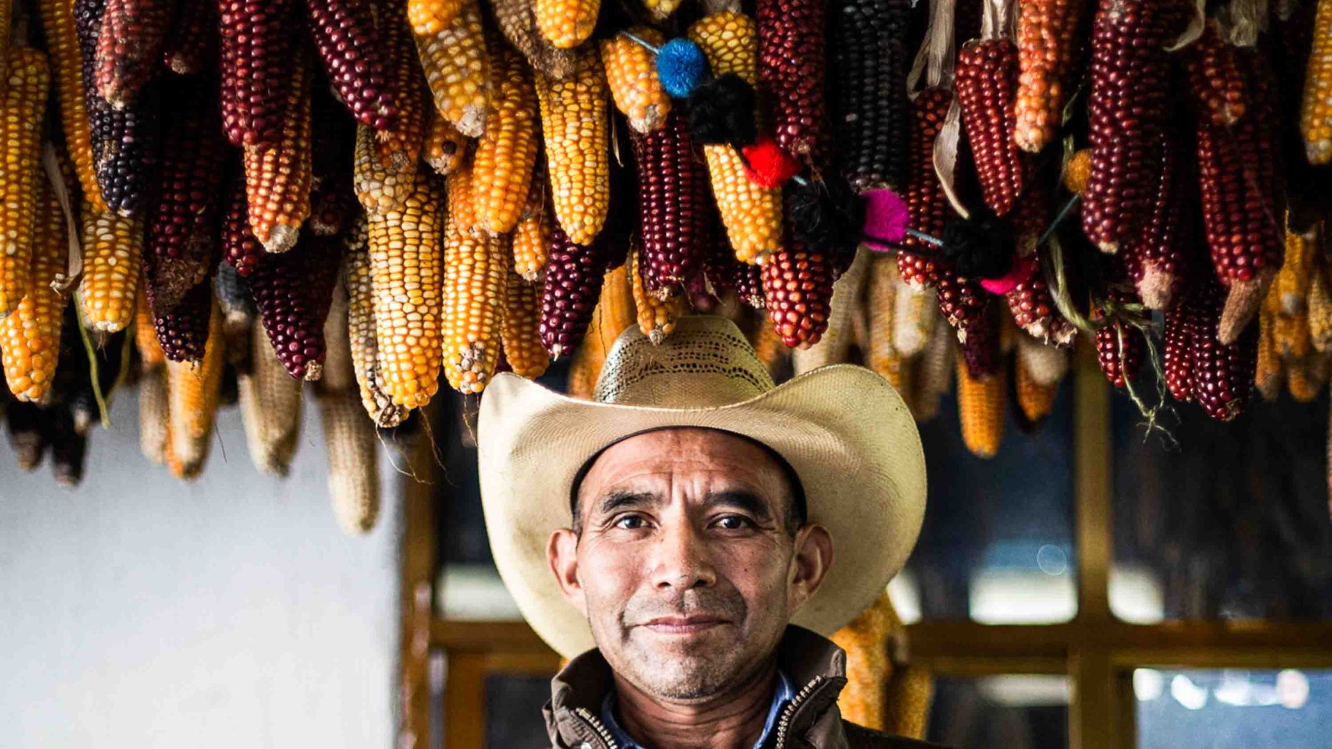 A man in a hat below husks of corn.