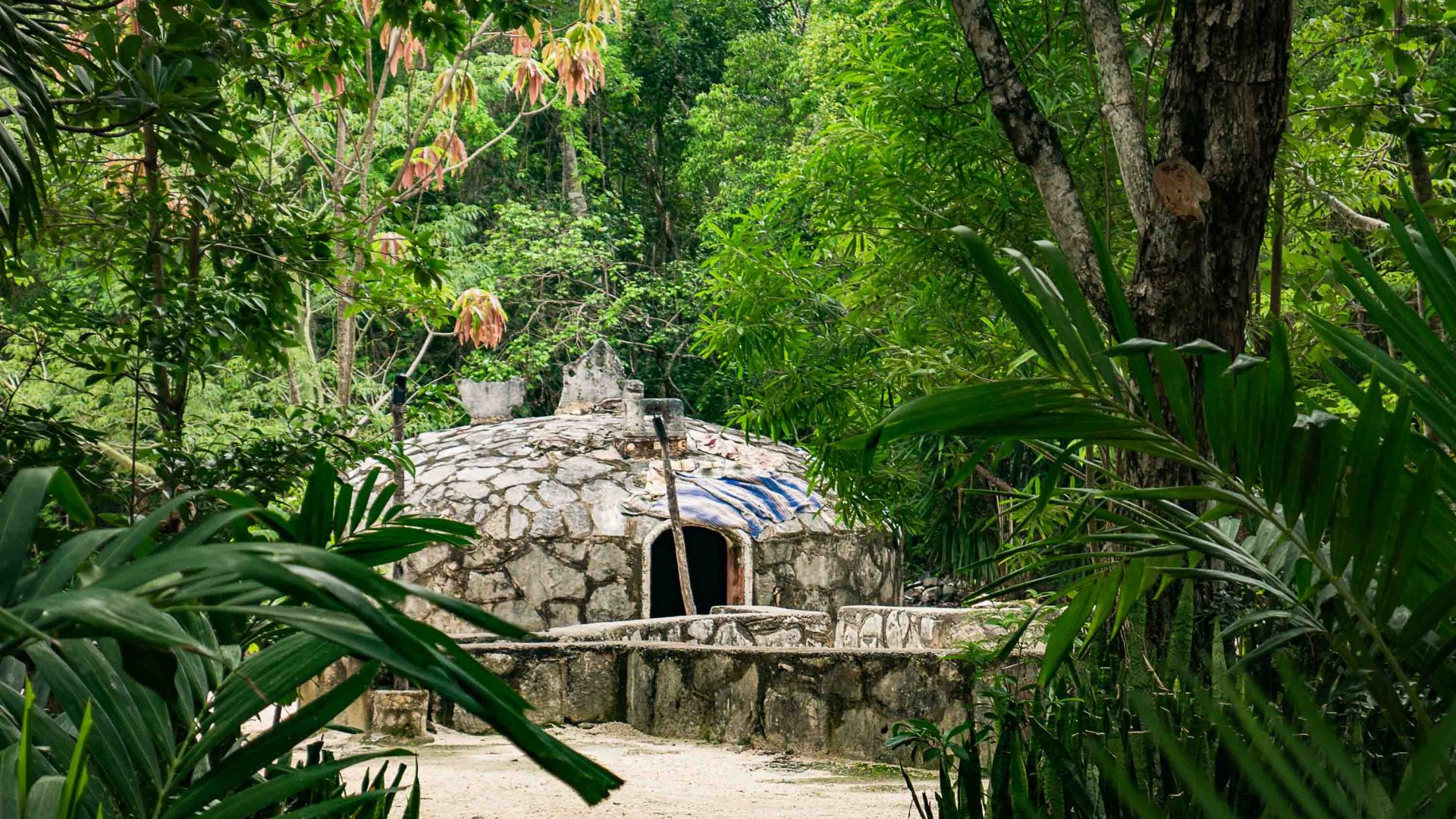 A temazcal dome in Mexico surrounded by trees.