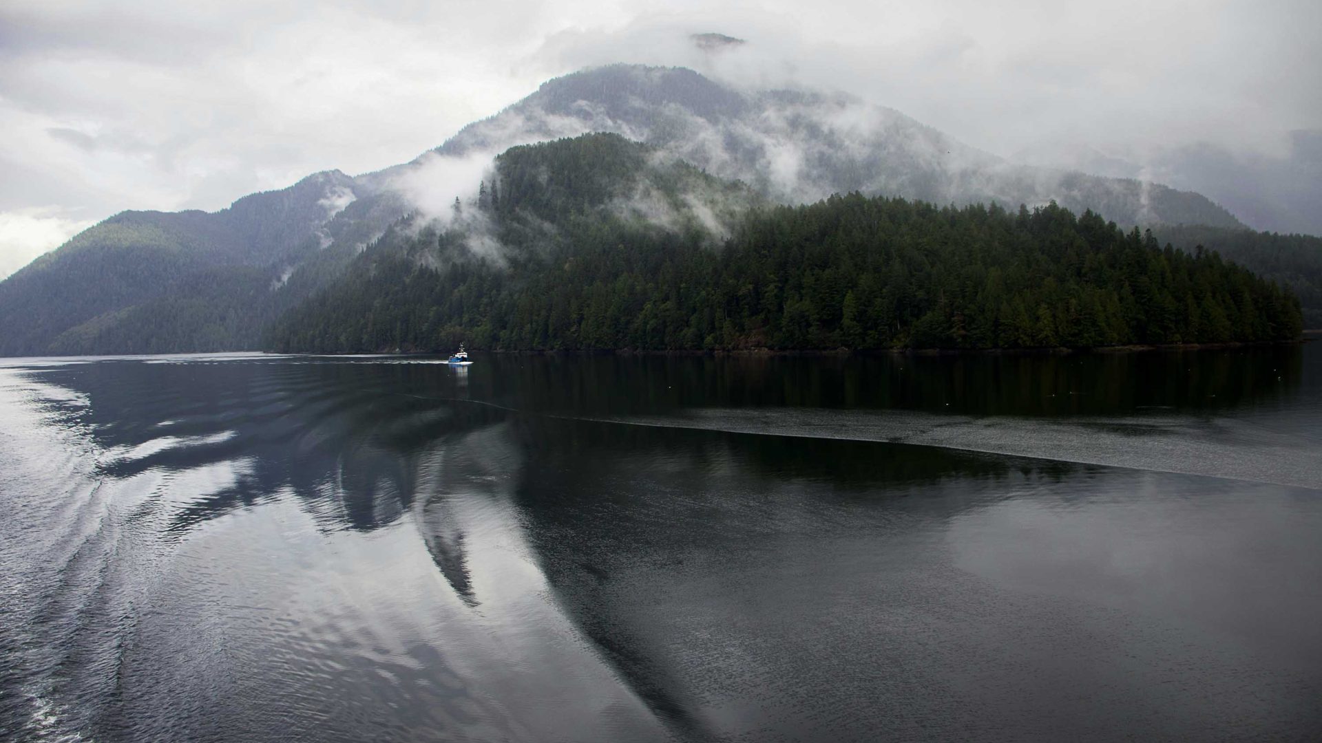 Cloud shrouds forest surrounded by water.