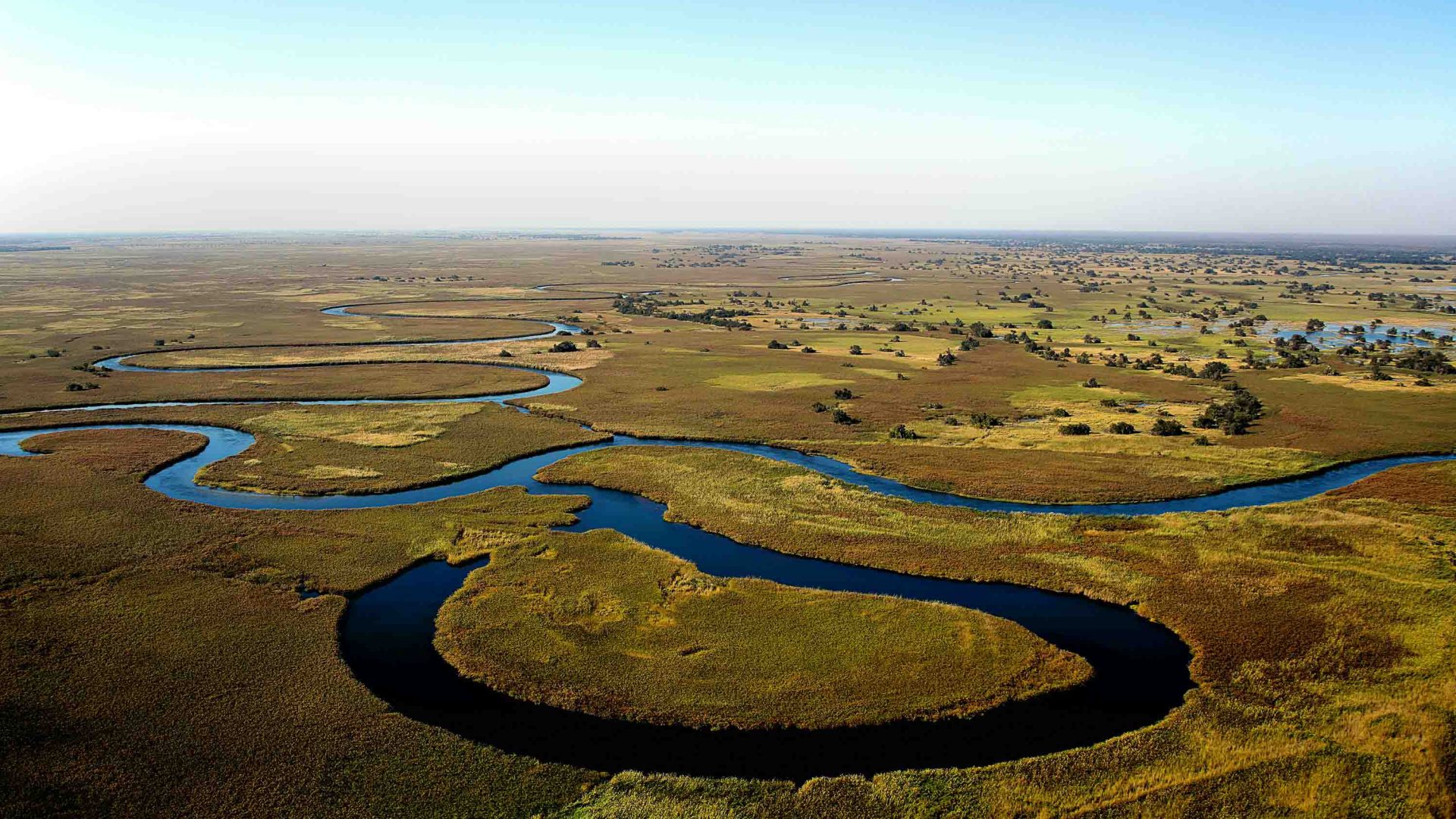 An aerial view of the Okavango River.