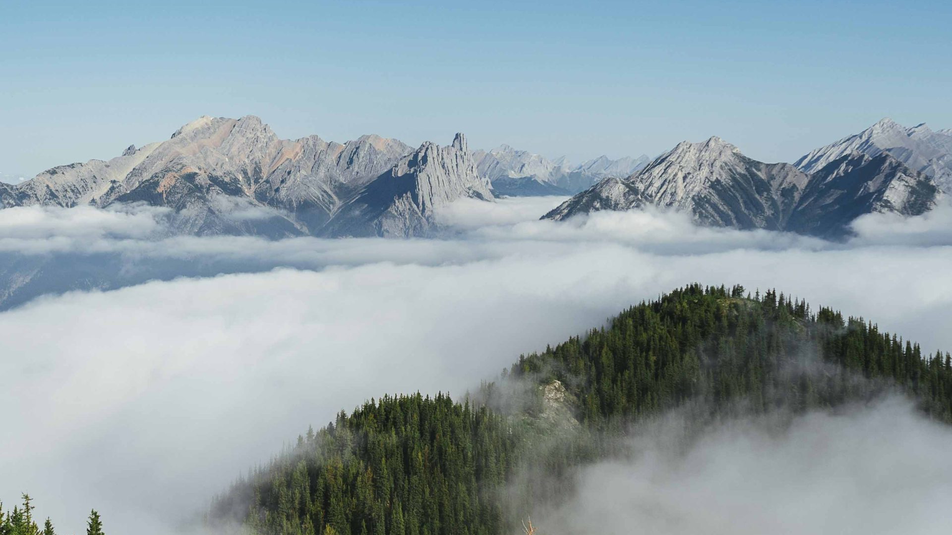 Clouds largely obscure mountains and trees.