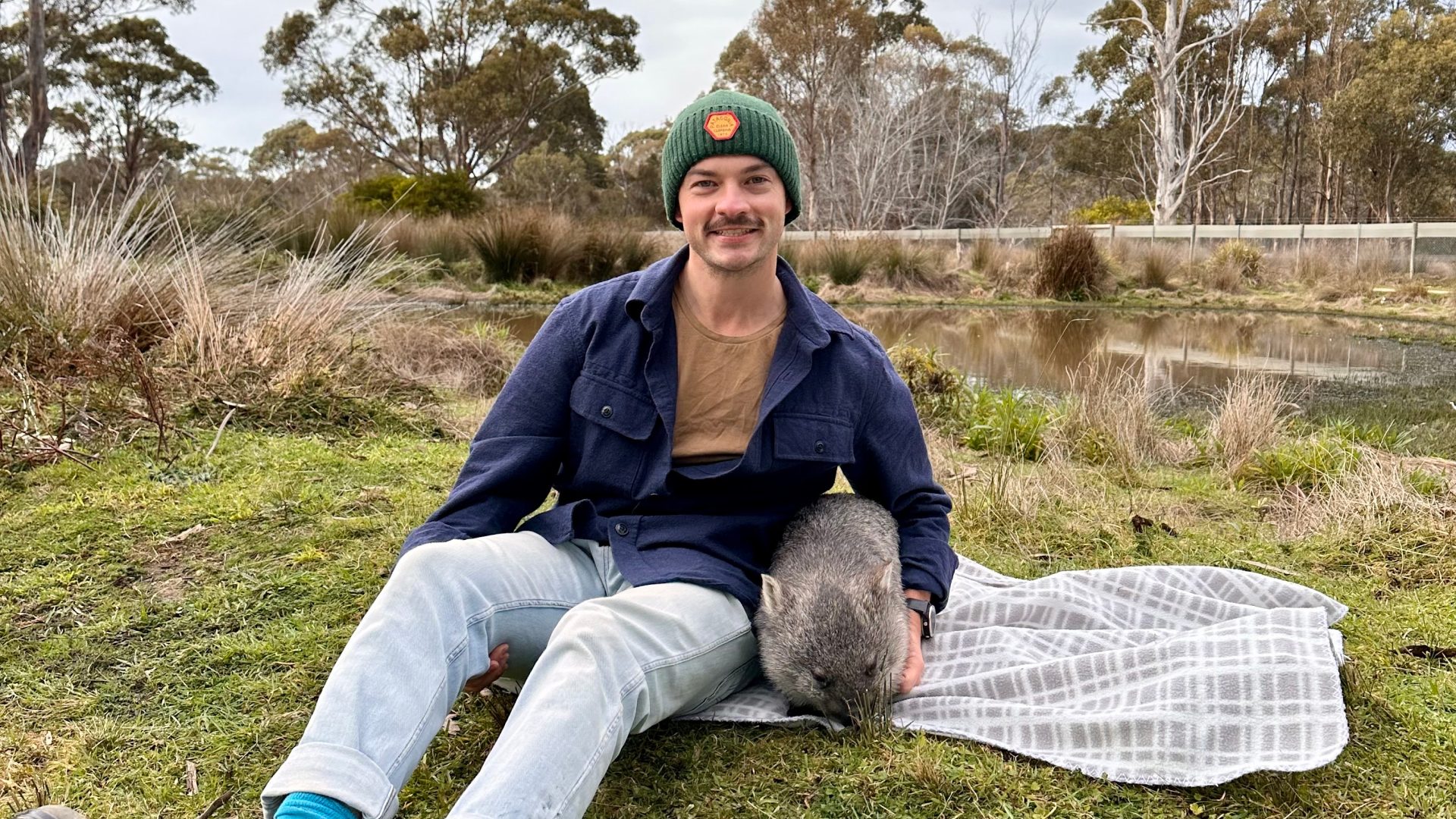 I took a job as a wombat walker. This is what I learned