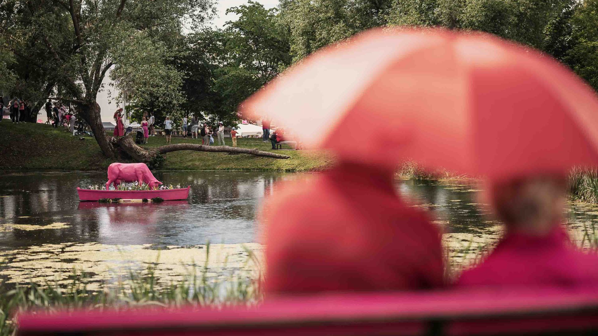 People sit and look out at a lake with a pink cow statue in it.