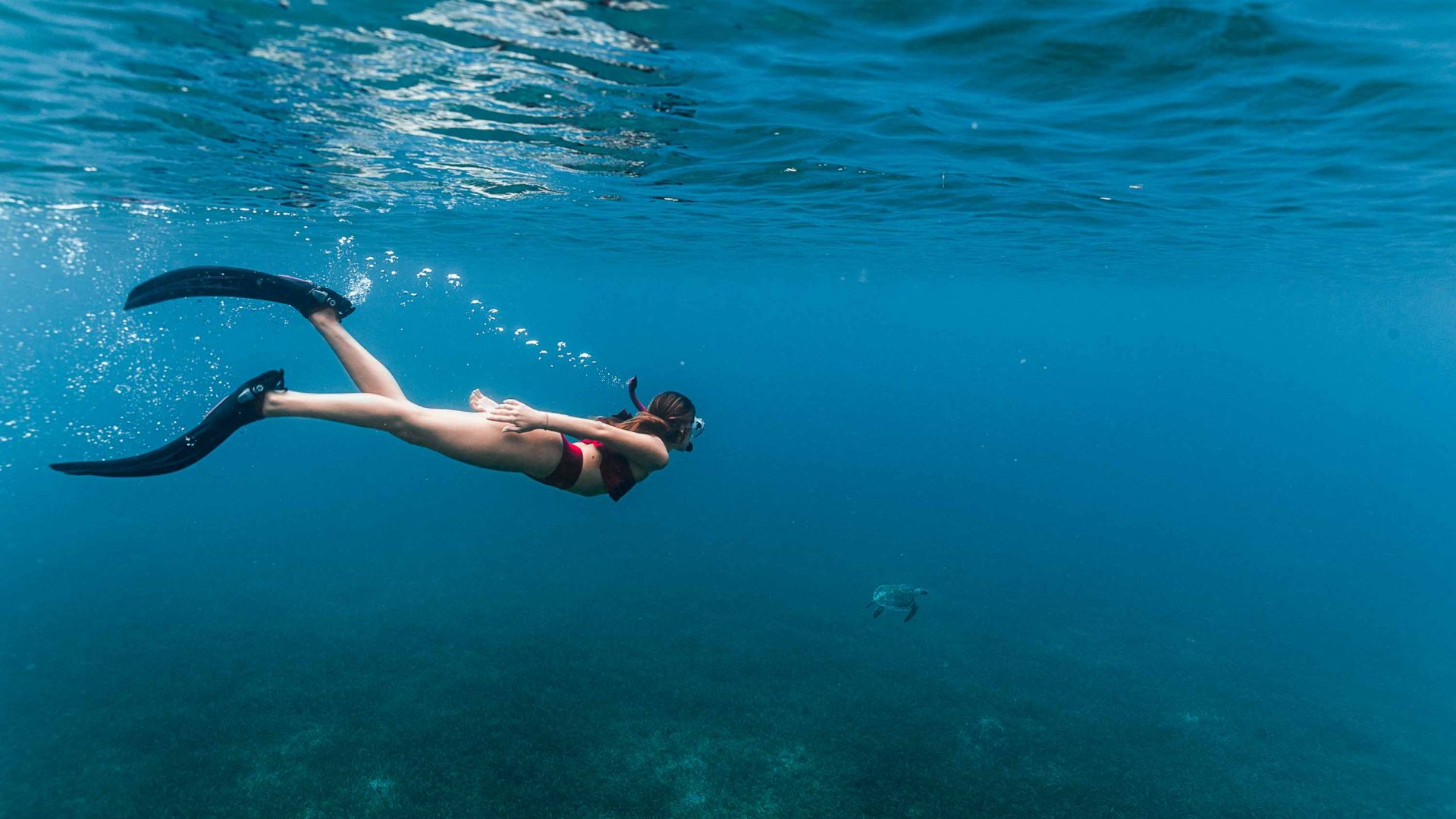 A woman swims with a sea turtle.