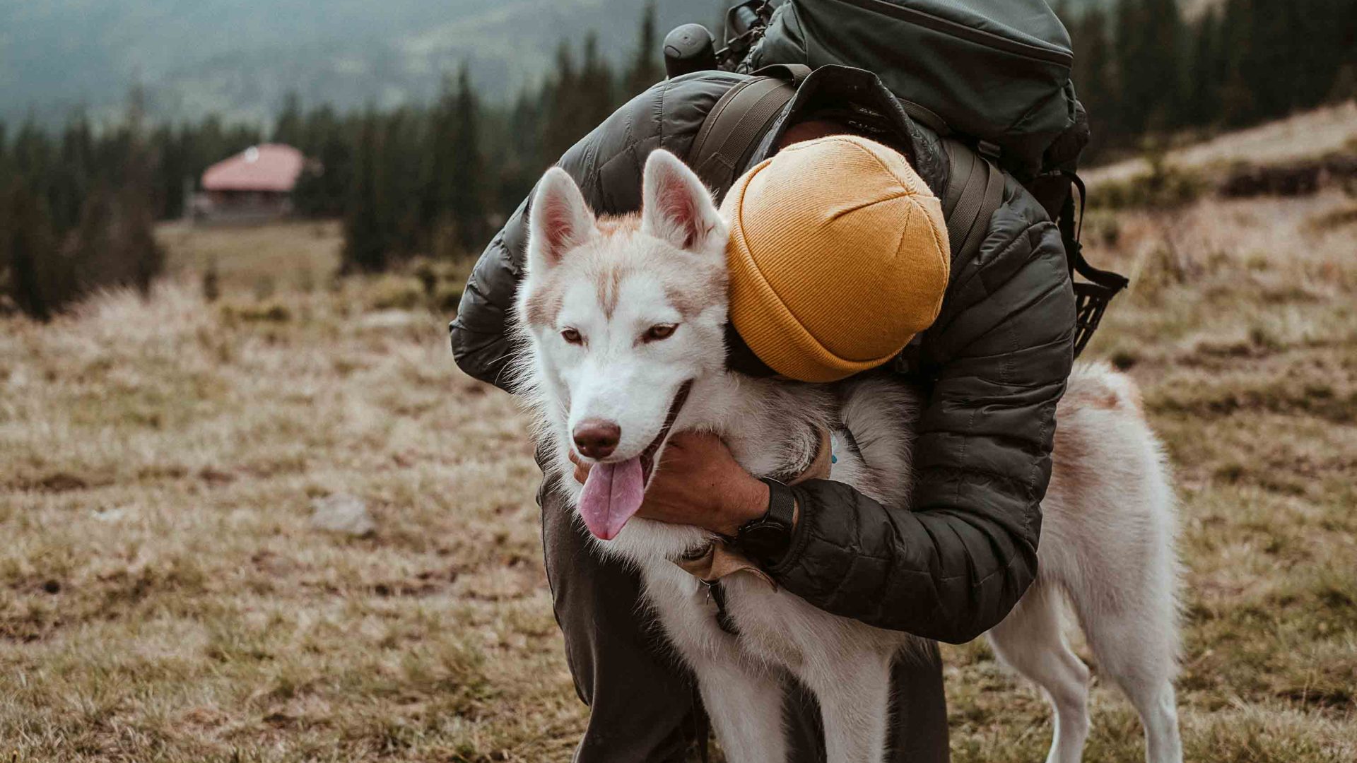 A person hugs their dog. There are mountains in the background.