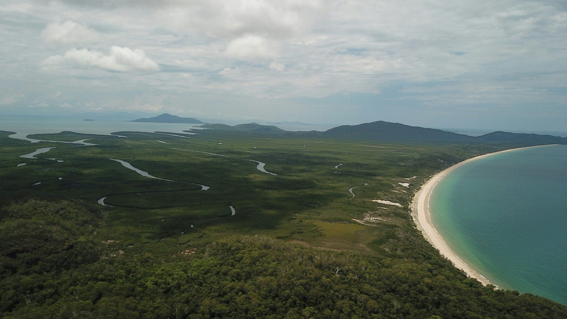 A bay surrounded by green coastal vegetation