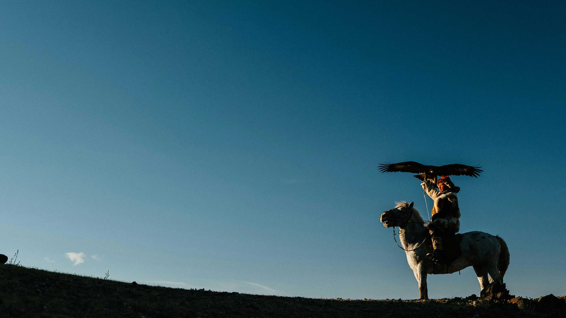 In Mongolia a man sends off his bird to hunt.