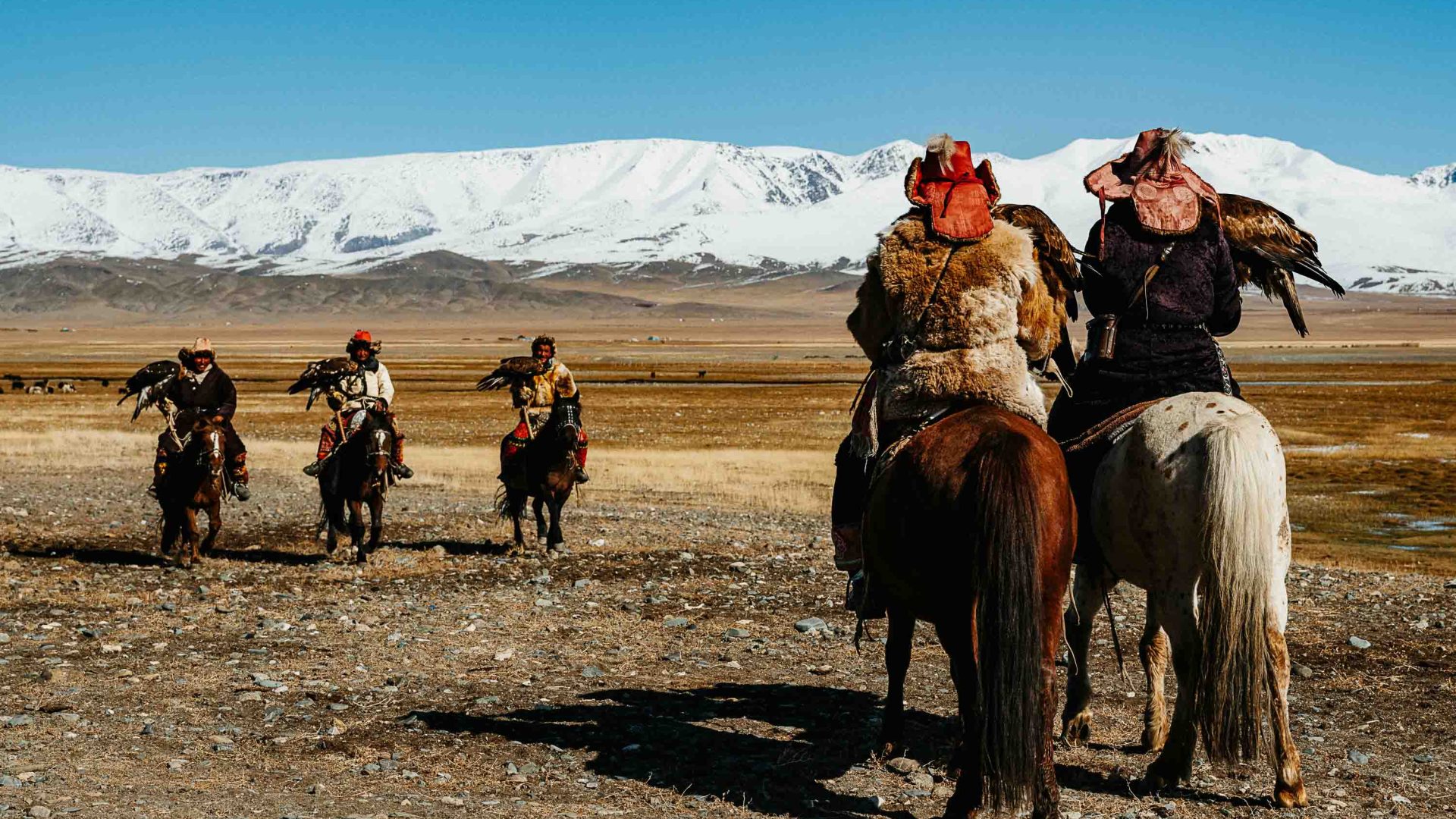 In Mongolia men on horseback face each other as they prepare to hunt with their birds.