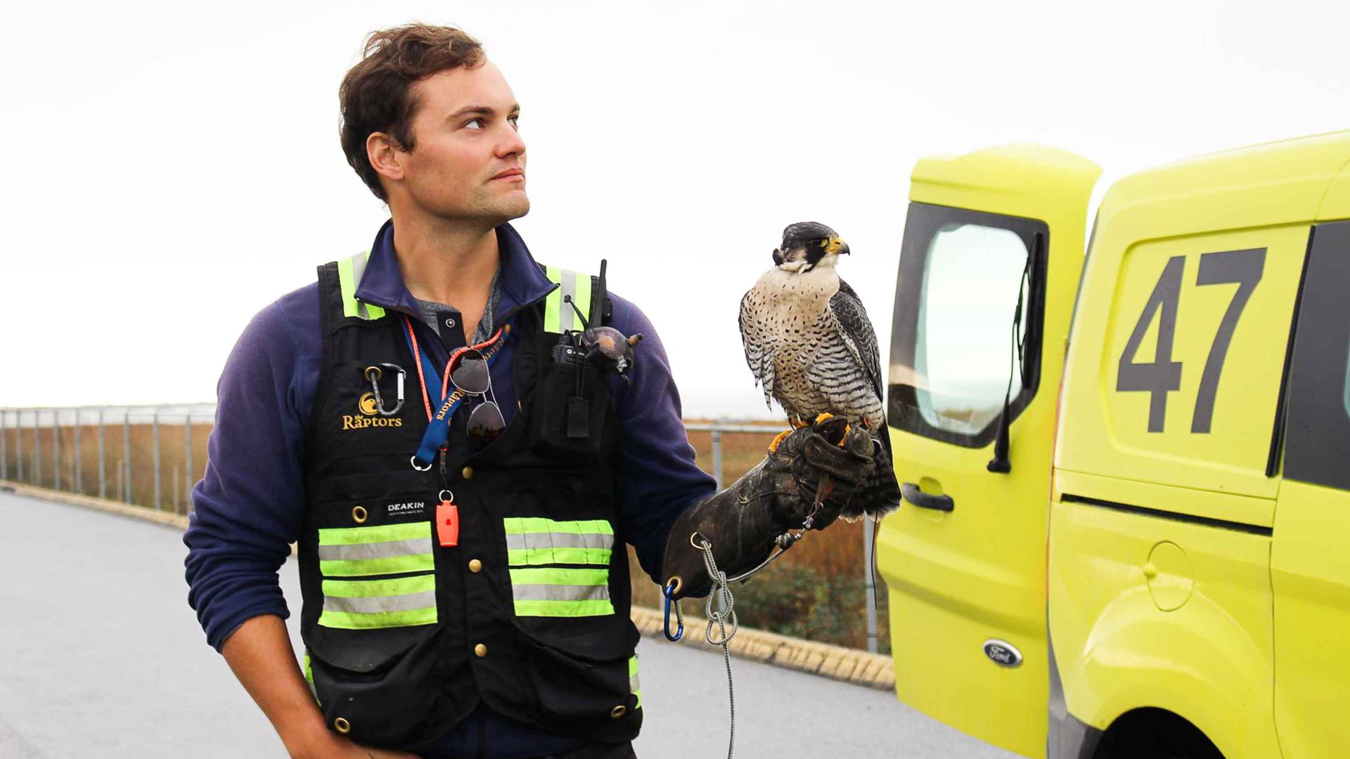 A man has a bird of prey sitting on his hand. He is alongside a yellow vehicle.