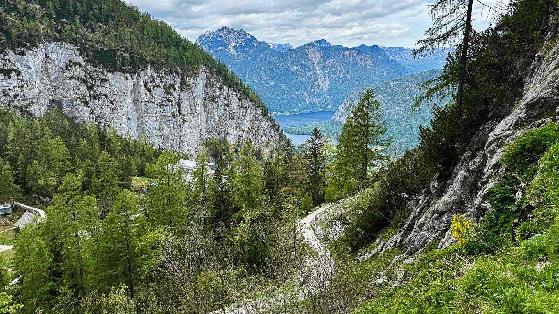 A trail winds through mountain passes and trees.