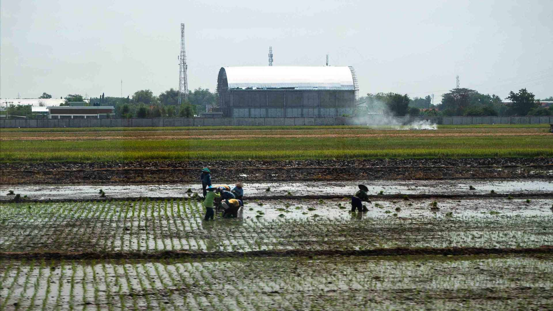 Agricultural workers seen out the train window.