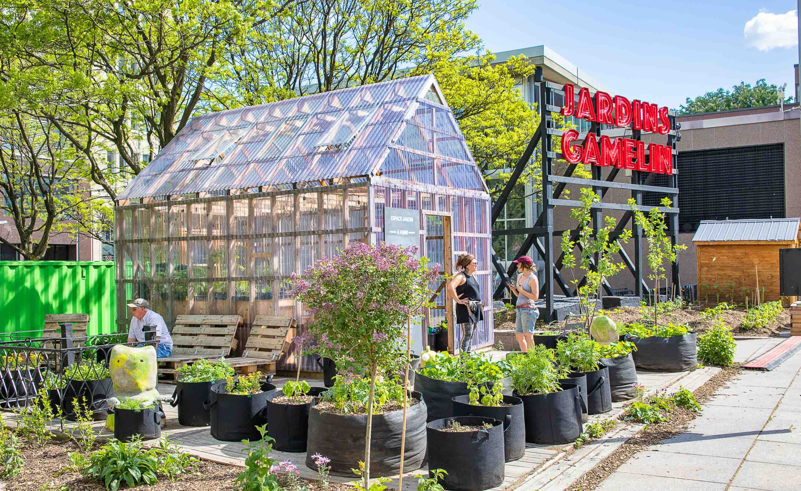 Urban farms and rooftop vineyards: Meet the greener, cleaner forces behind Montréal’s food scene