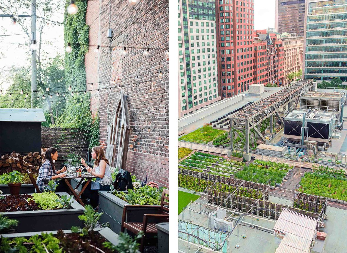 Left: People enjoying a meal in amongst an urban food garden. Right: Looking down at the Food garden on the rooftop of the Montreal Convention Centre.