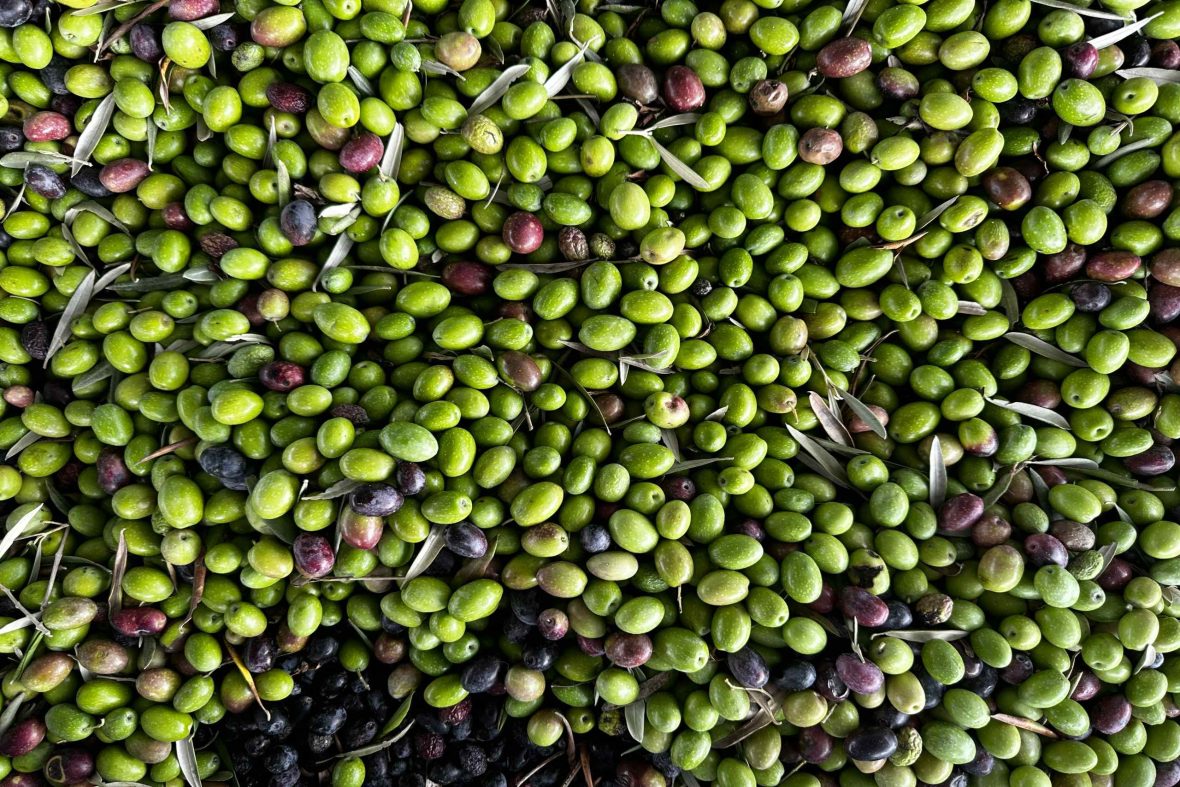 A close-up of bright green and black olives