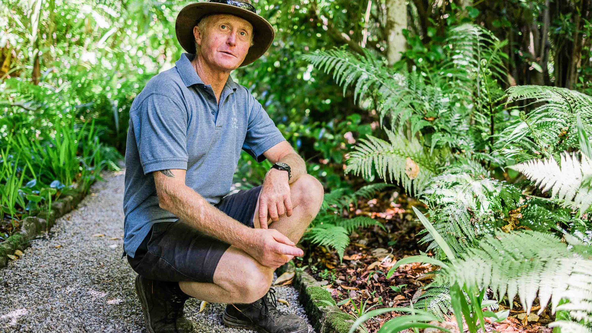 A man crouches down next to some plants.