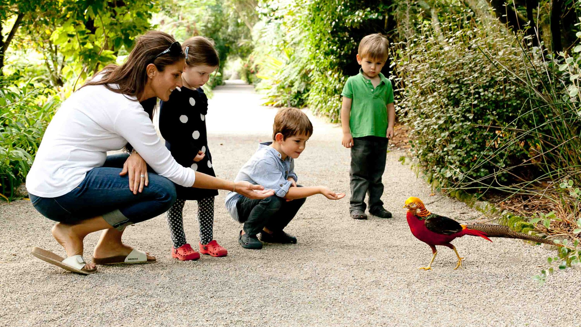 A family holds out their hands to a bird at Tresco Abbey Gardens.