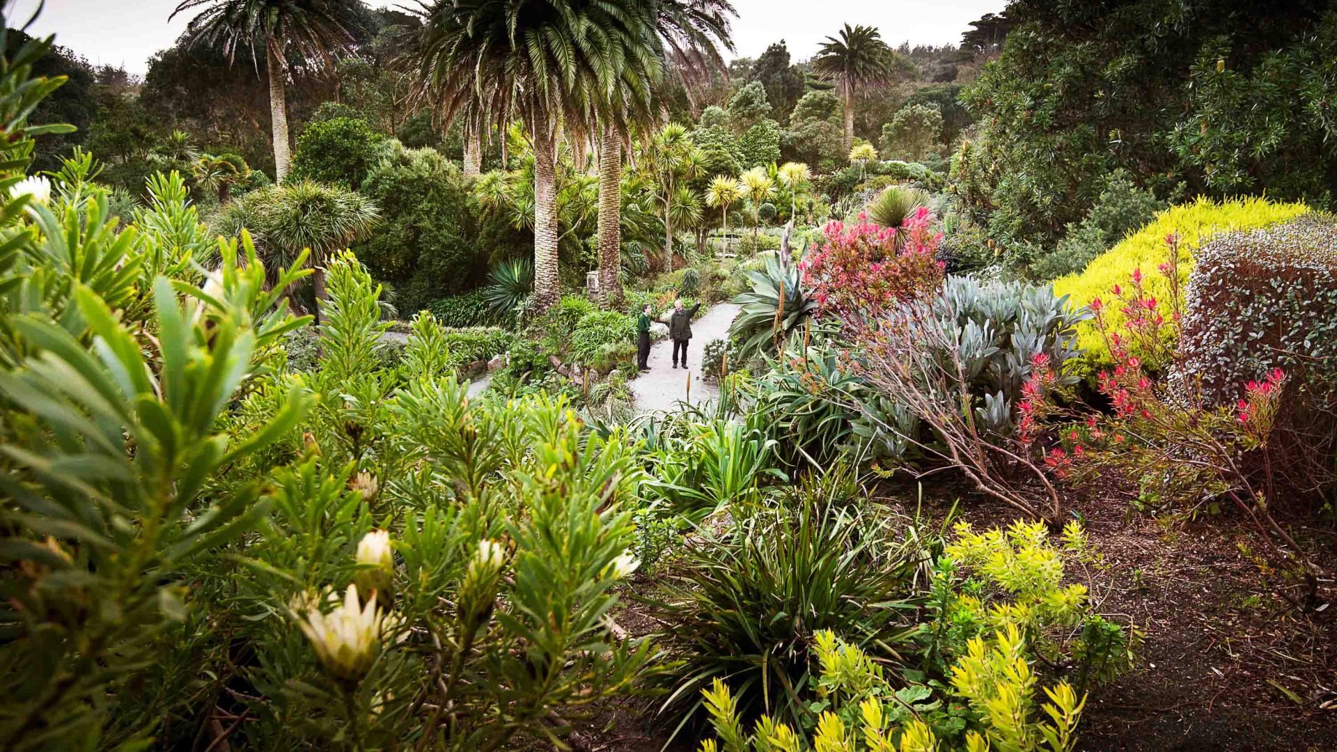 Two people walk along a path in the garden.