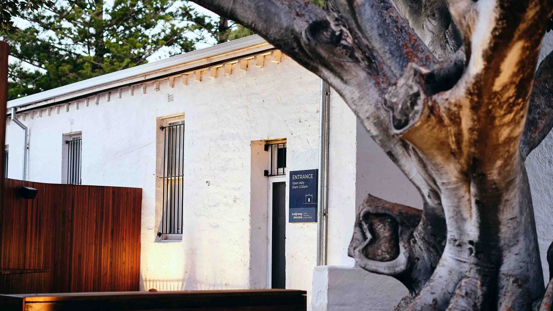 Wadjemup Museum exterior with white walls and a tree standing out front.