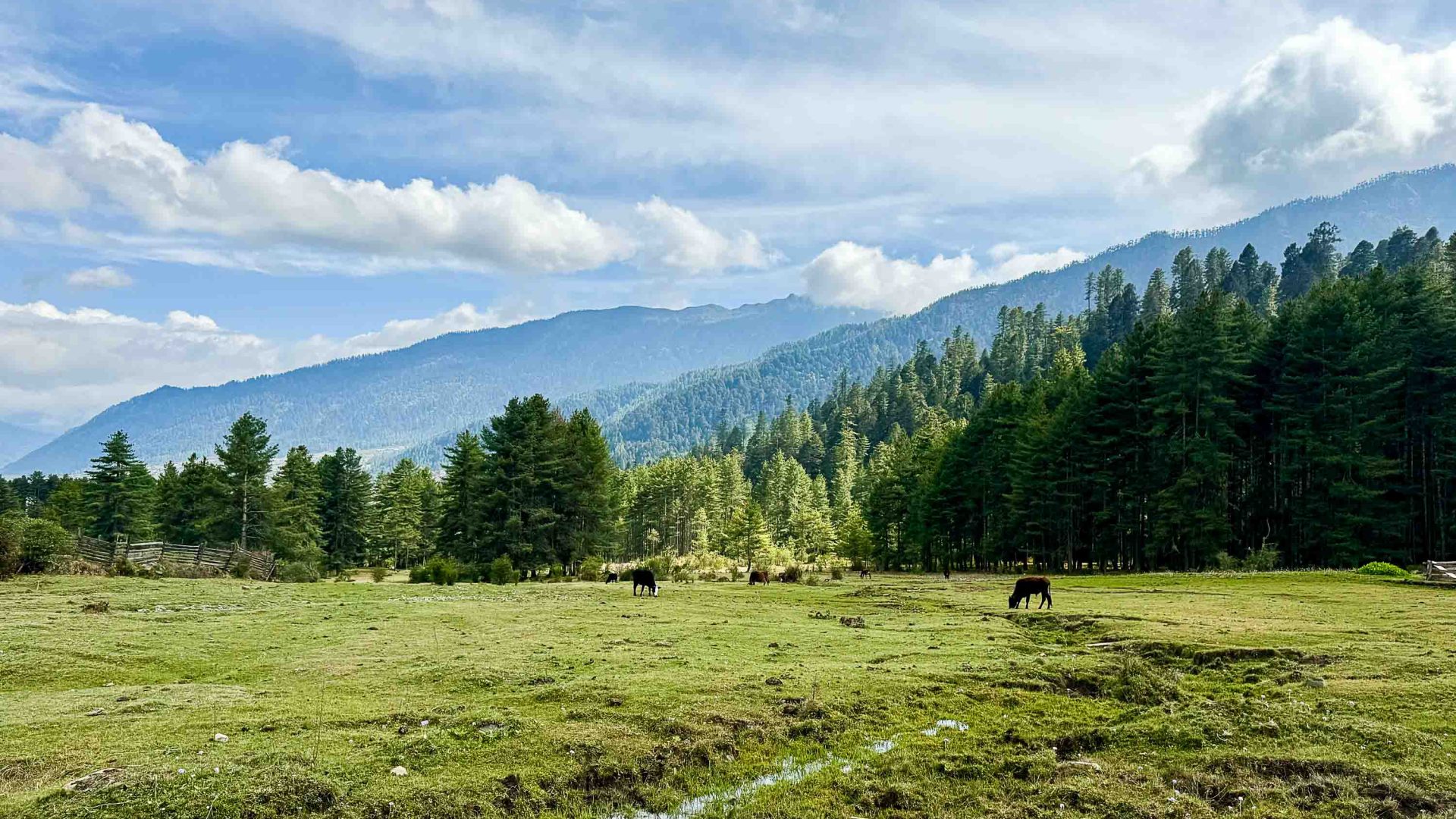 Green fields, mountains and trees.