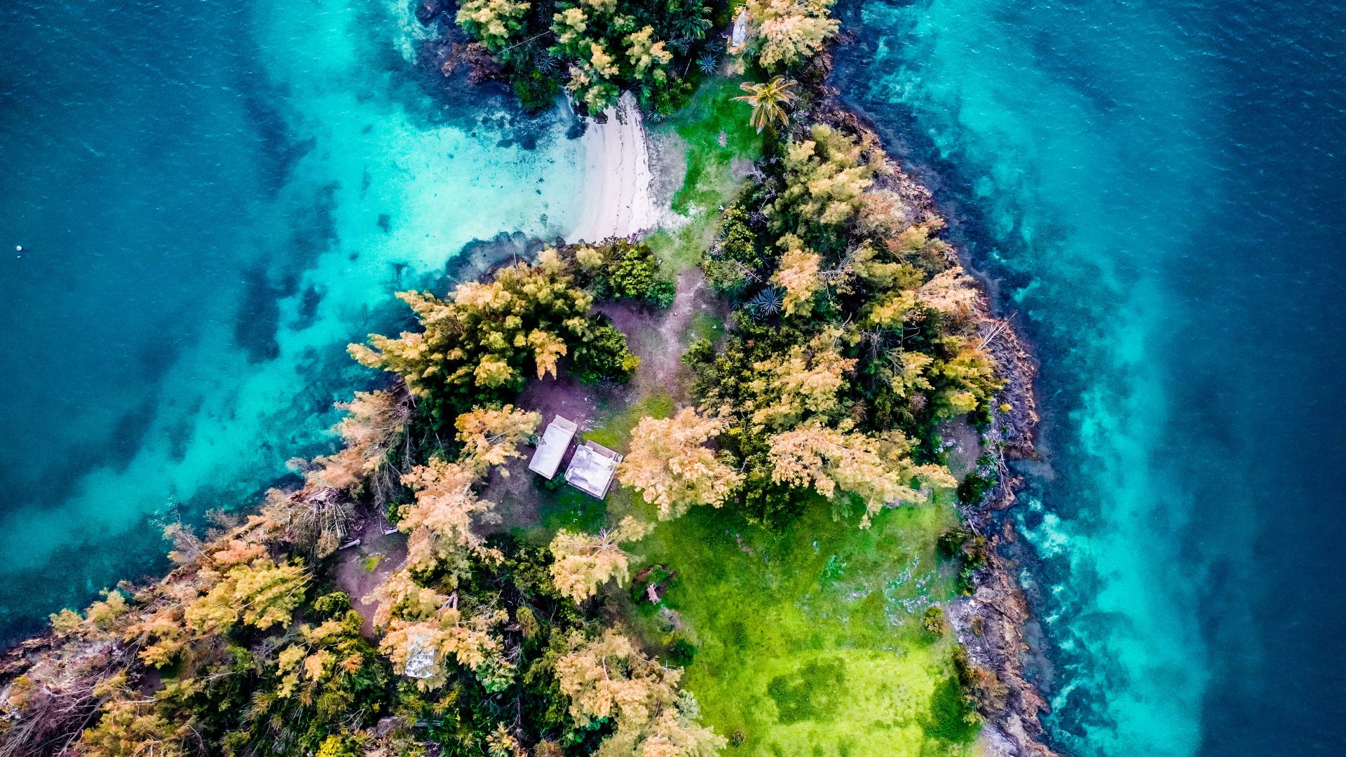 I ran across Bermuda island in a day. This is how you can ‘runcation’ too