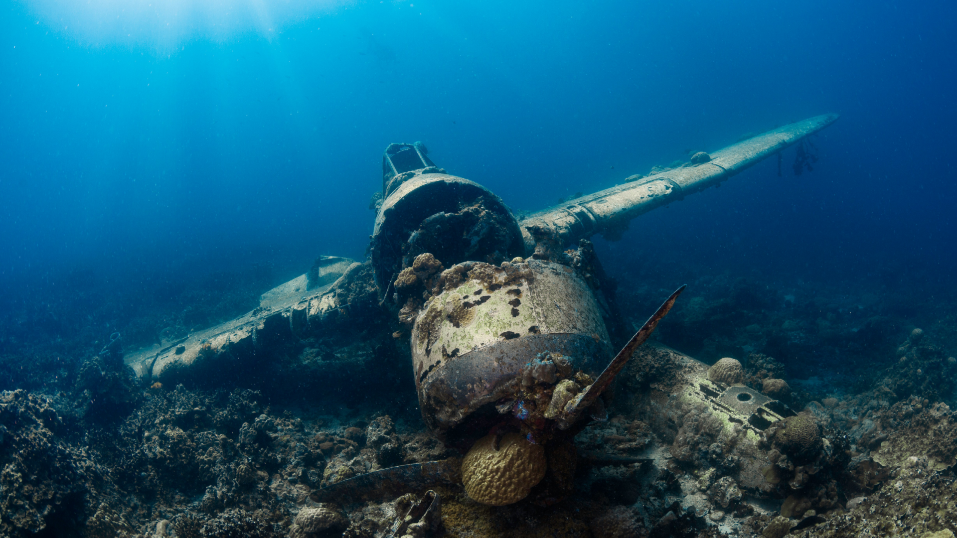 Underwater wreck in Palau