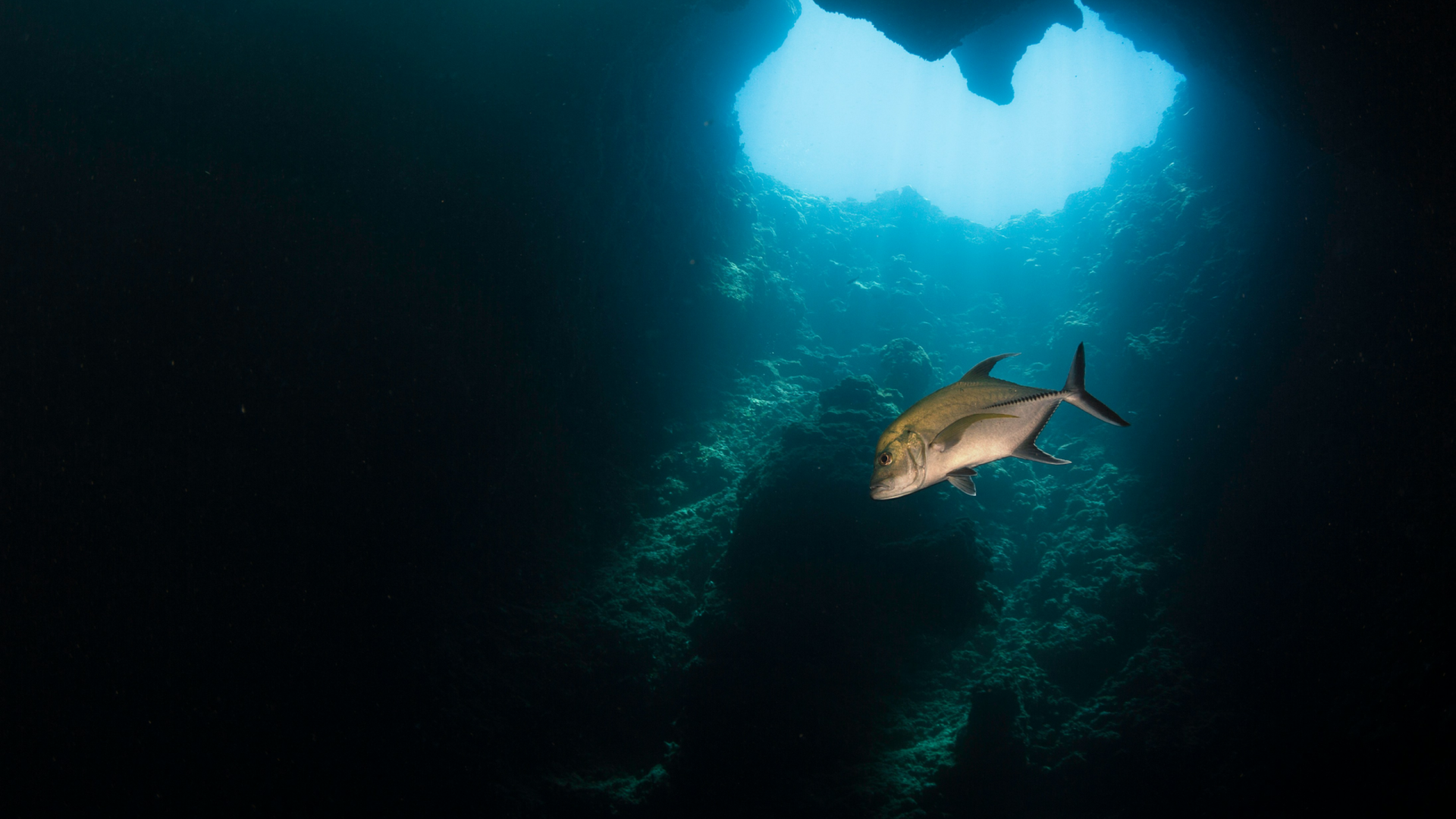 Diving Blue Hole