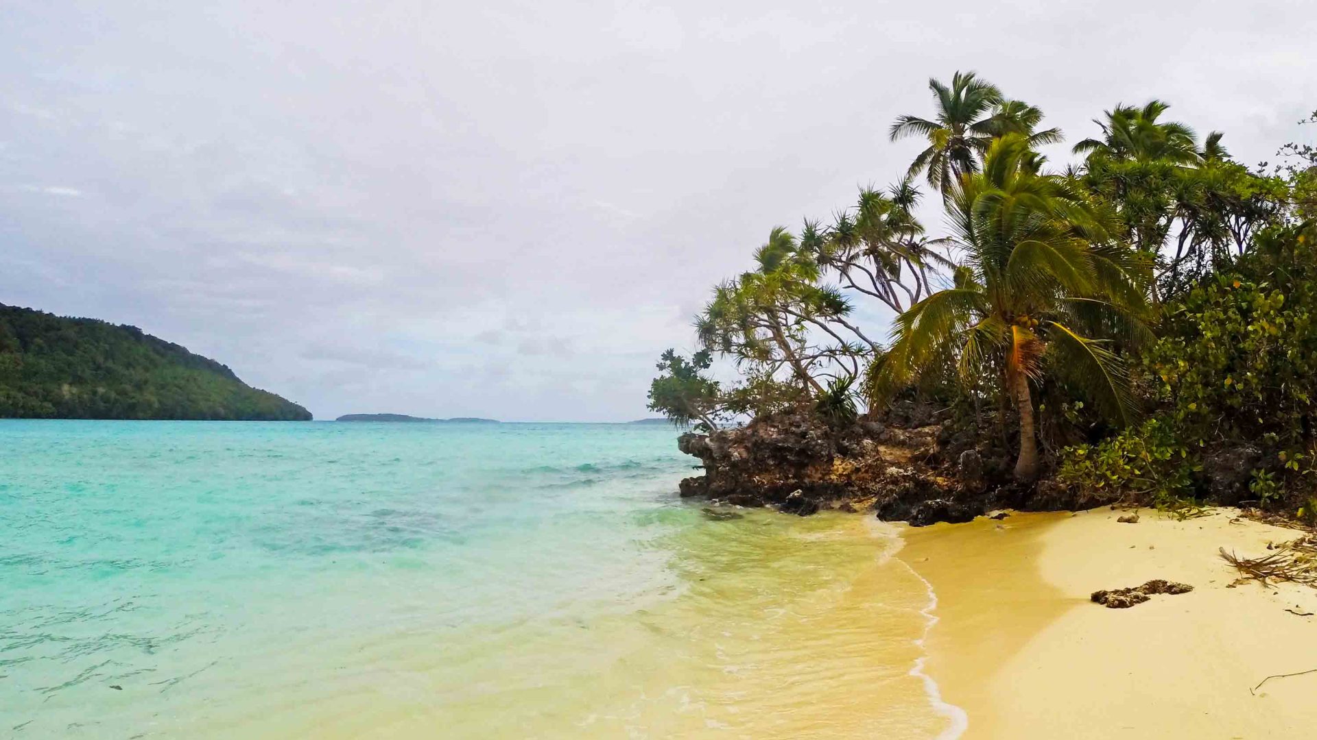 Turquoise water laps the shore of a beach.