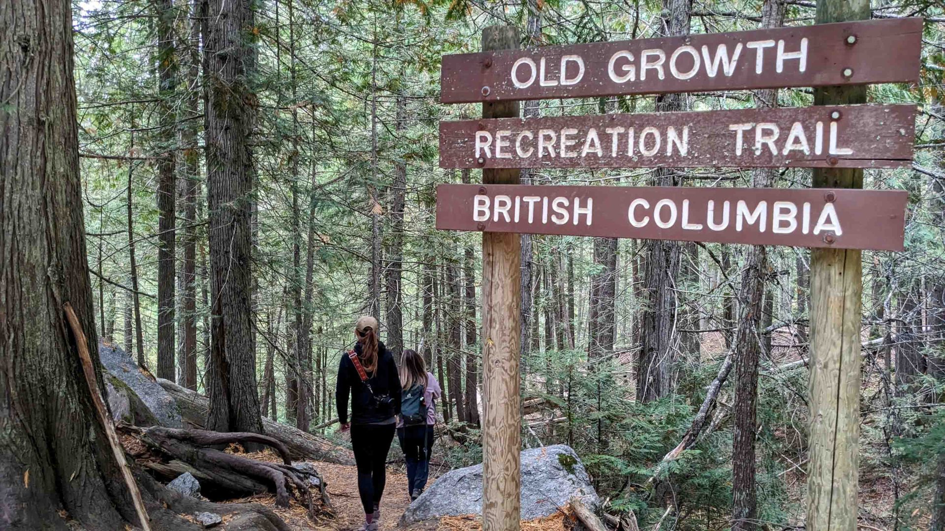 Two people hike past a sign that says "Old growth recreation area British Colombia"