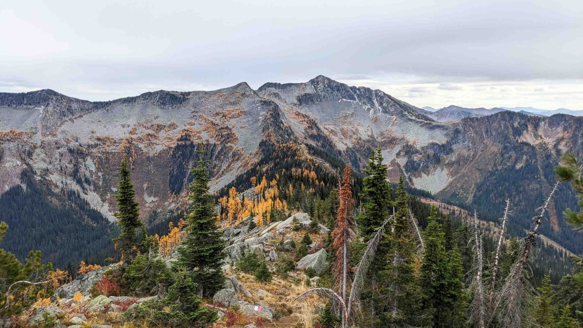 Forest and mountains.