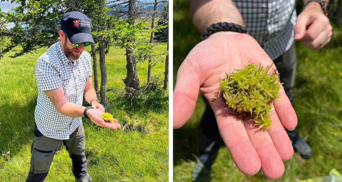 A man in a hat shows some green peat moss in his hand.