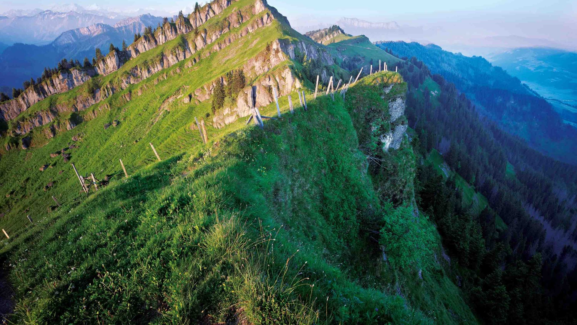 A tree-covered ridge line that drops to valleys.