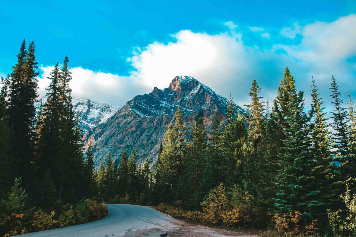 A road winds through trees toward a mountain.