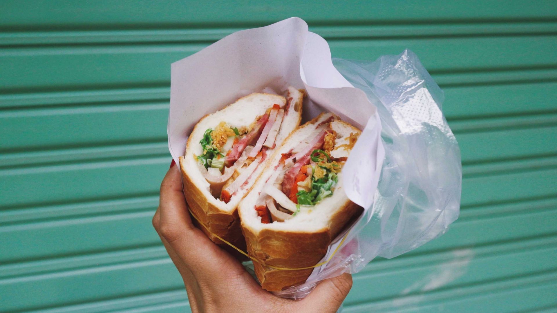 A hand holds a bahn mi.