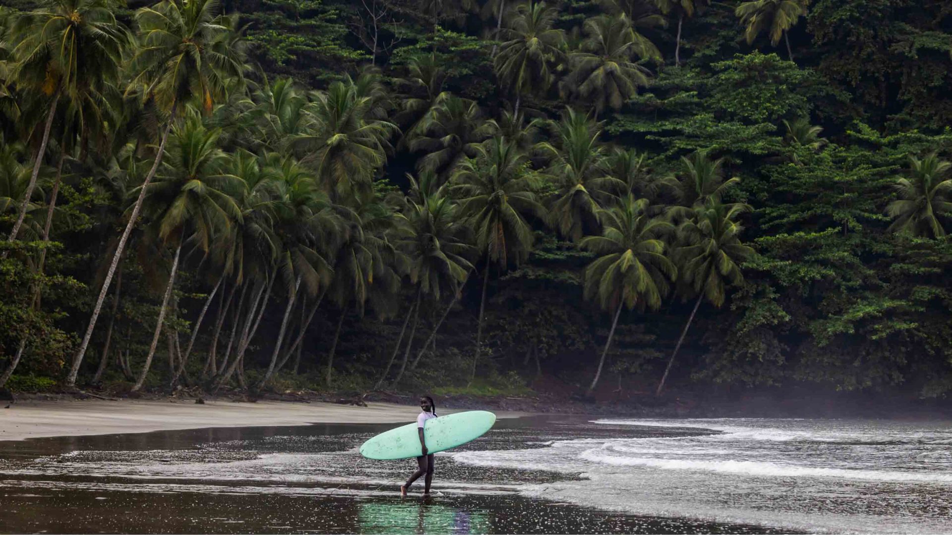 A woman holding a surfboard walks toward the water. there are trees behind her.