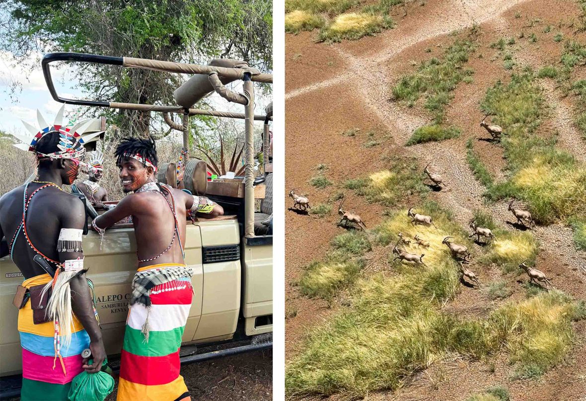 Left: Some warriors in traditional clothing lean on the door of a jeep vehicle. Right: An aerial view of oryx running across the land.