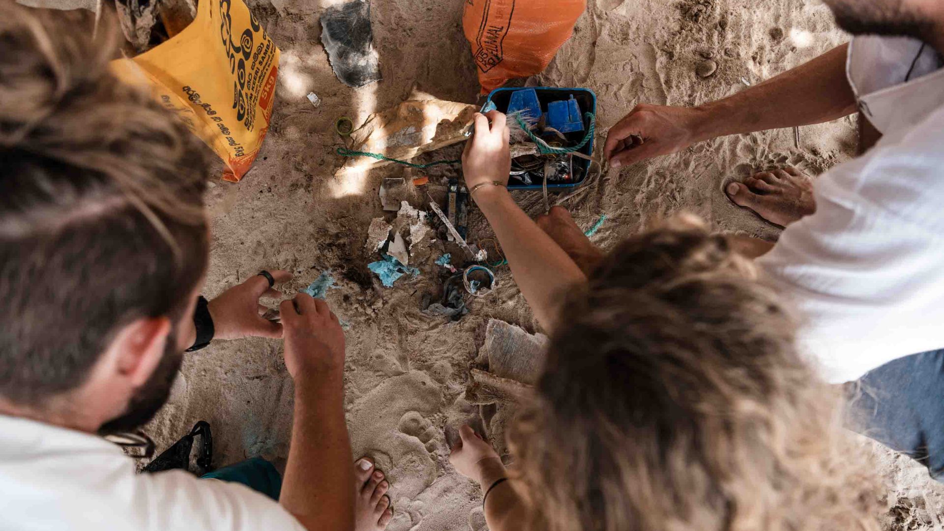 A group of people dig in the sand.