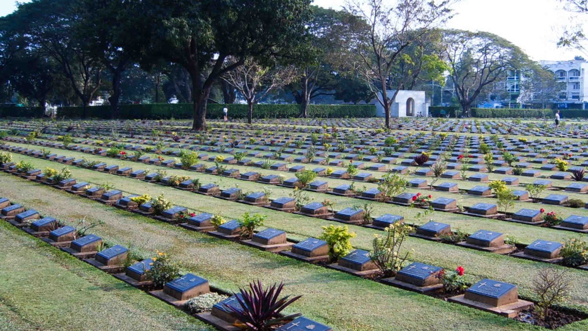 Rows of graves in a cemetery.