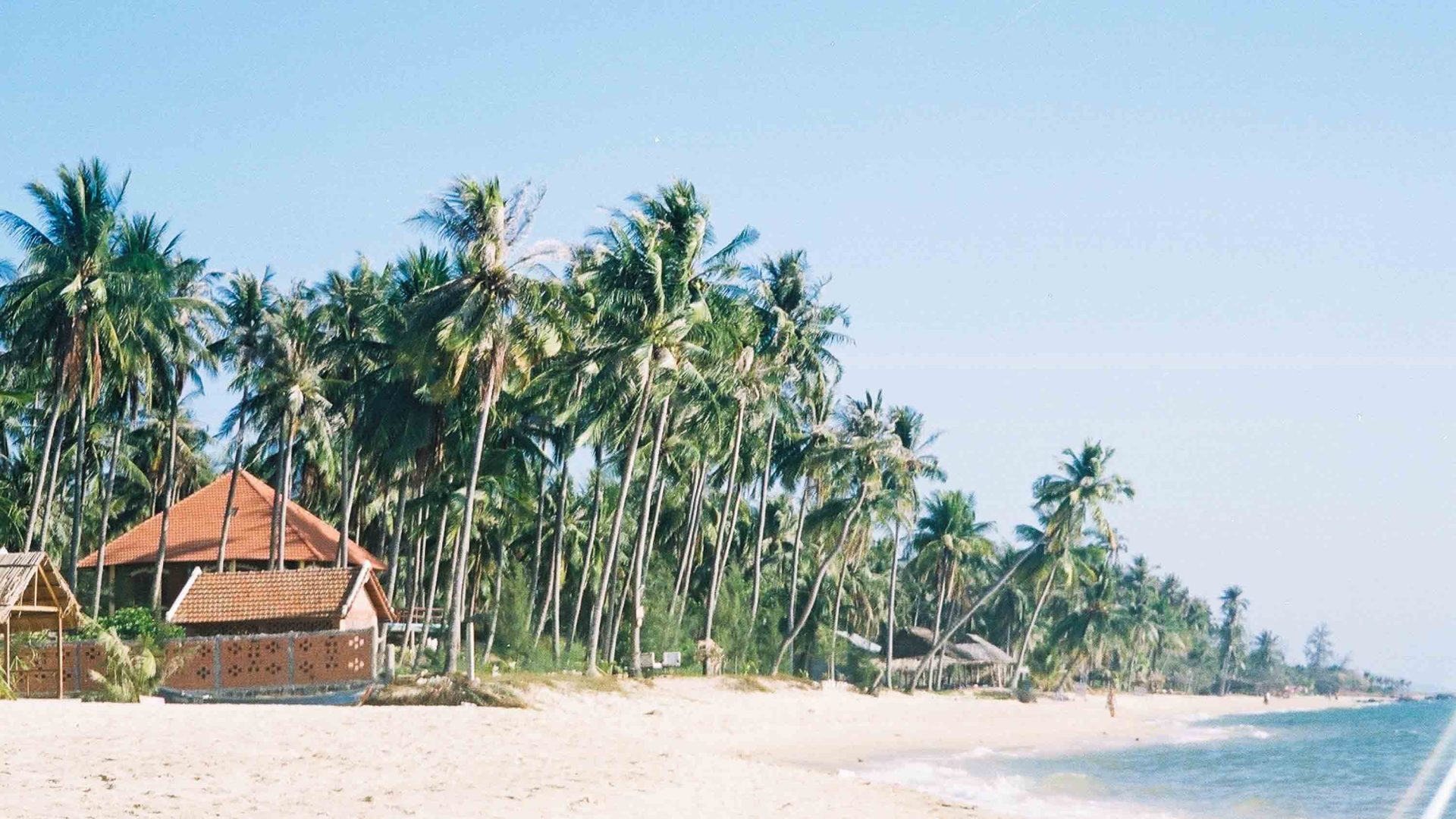 A white sand beach lined with palms and a single house.
