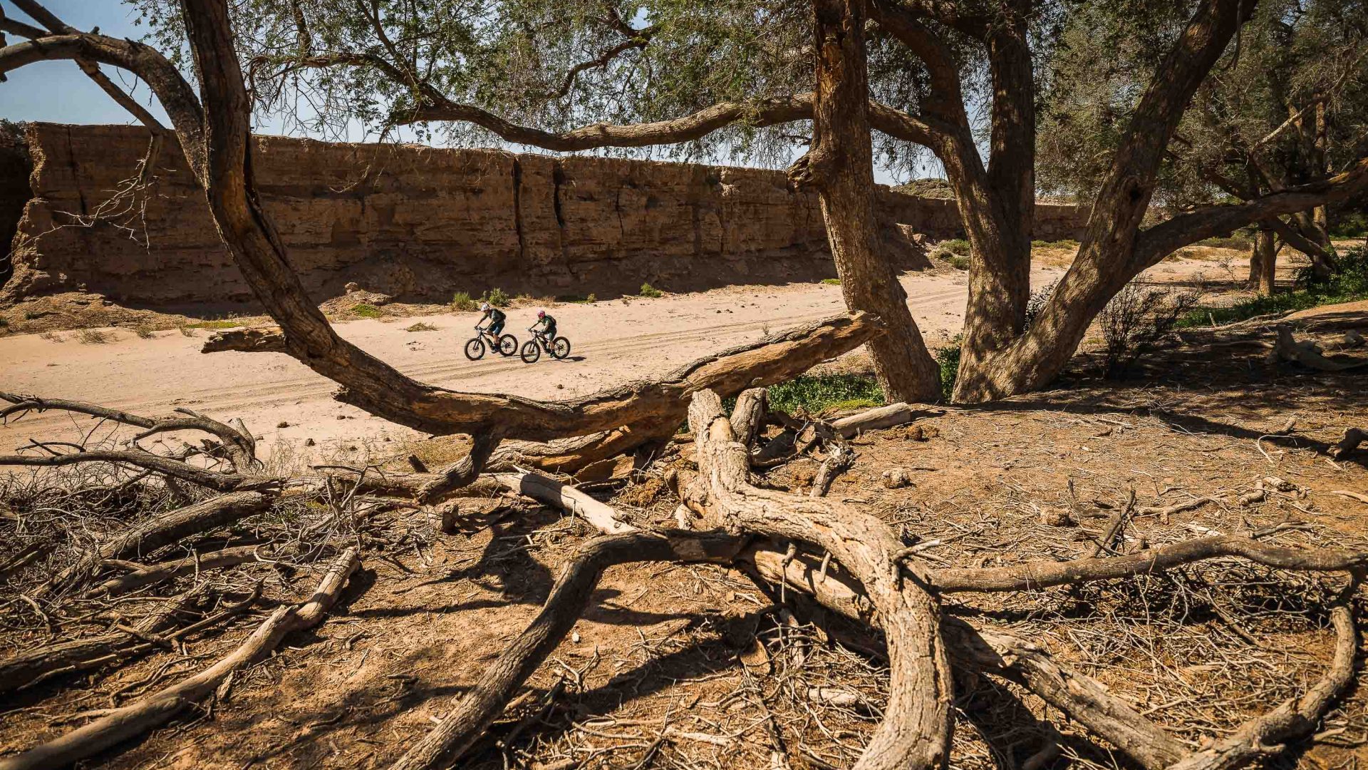 E-bikes riding through the desert.