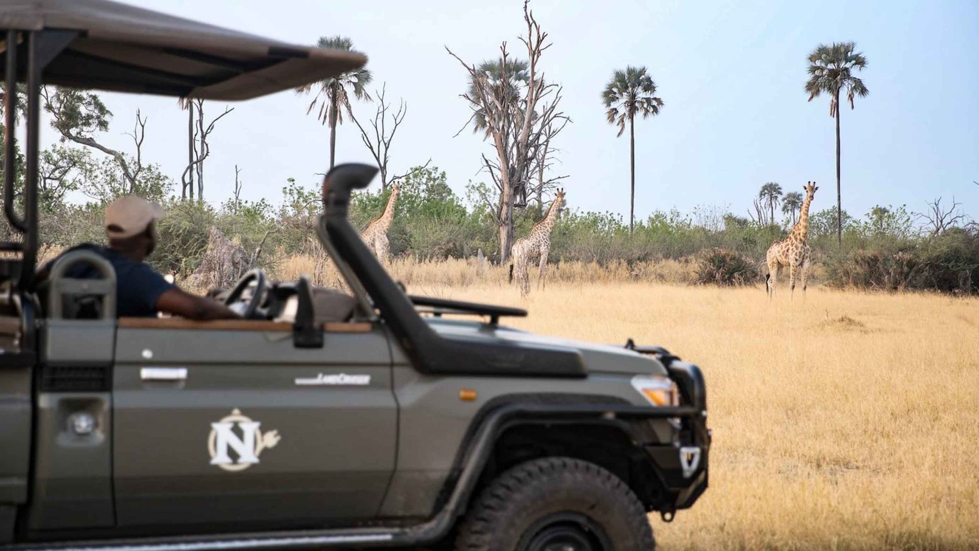 An electric safari Landcruiser stops near some giraffes.