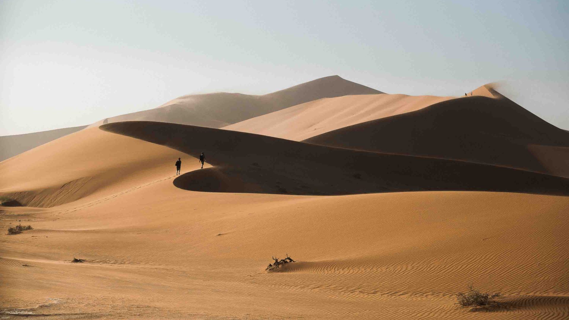 People walk across desert dunes.